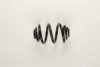 NISSENS 541519 Coil Spring